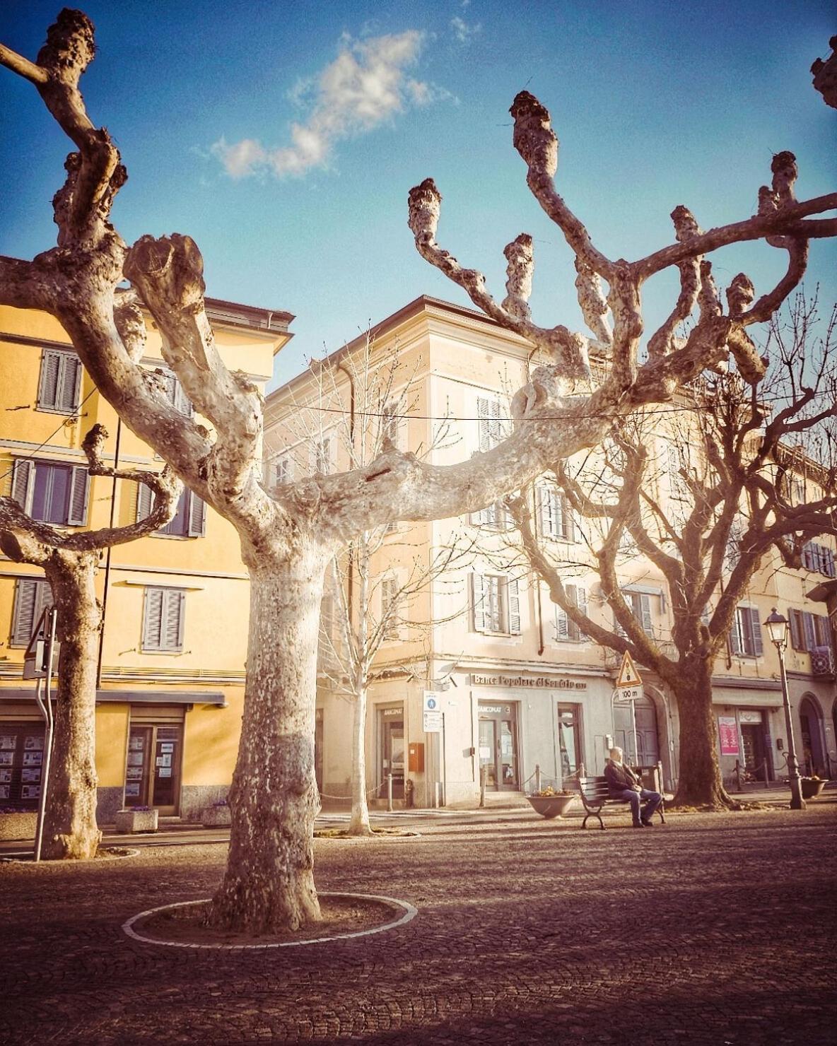 Casa Luisa Appartement Bellano Buitenkant foto